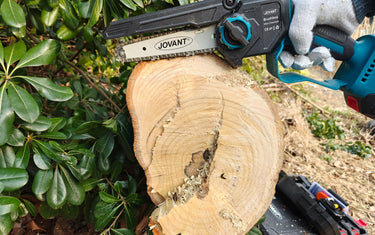 Unlocking the Power of Chainsaws: An Innovative Approach to Efficient Garden Pruning
