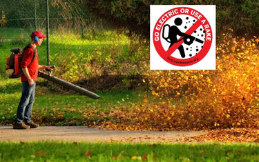 Gas Blower Ban: Pick Best Cordless Leaf Blower via Tests