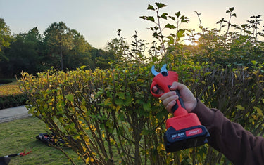Pruning shears crape myrtle care guide