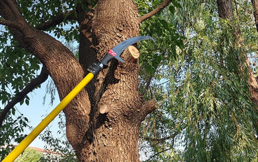 Firebreaks on a Budget: Why Pole Saws Are a Wildfire Financial Lifeline