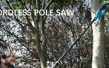 Pole Saw Pruning: Shield Trees from Seasonal Pests