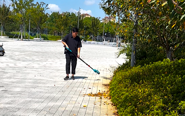 Pole Leaf Blower Buying Guide: Best for Autumn Yard Leaf Cleanup