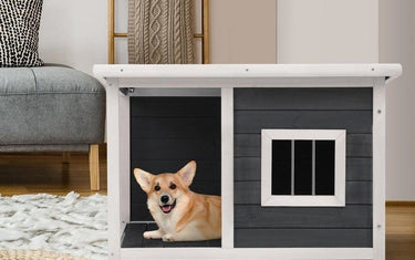 Chainsaw builds wooden dog house