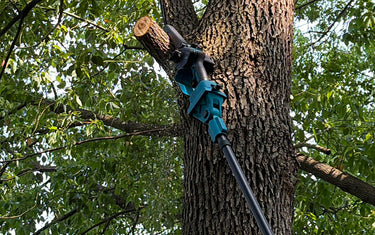 6-Inch Pole Saw Noise and Cutting Performance Test