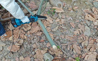 Cordless Electric Pole Saw: Lightweight, Brushless Motor, Telescopic Pole for Easy High-Branch Trimming