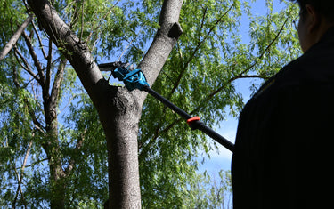 Ways Pole Saw Logging Minimizes Financial Impact of Heavy Rainfall