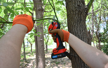 Electric Pruners for Flowers: 5 Golden Rules for Perfect Pruning