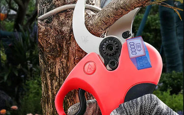 Pruning Shears: 5 Essential Tips for Healthy Magnolia Trees