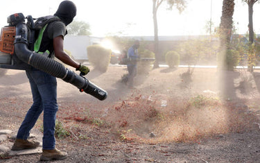 Gas-powered Leaf Blower Ban in California: Regulations & Alternatives
