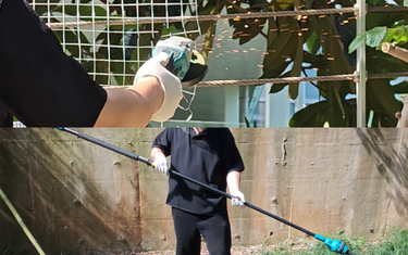Jovant angle grinder vs pole angle grinder full data comparison