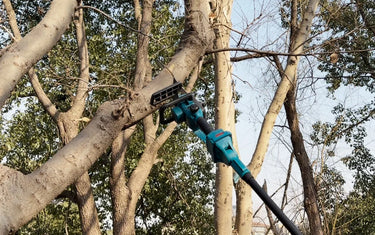 12-inch Pole Saw Height and Log Cutting Test