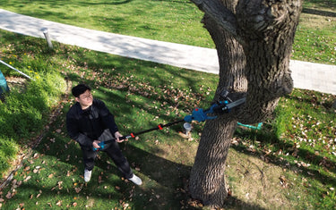 Pole Saw vs. Chainsaw: Which One Should You Choose?