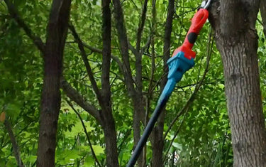 How to Use Pruning Shears for Fruit Tree &Tall Tree Pruning