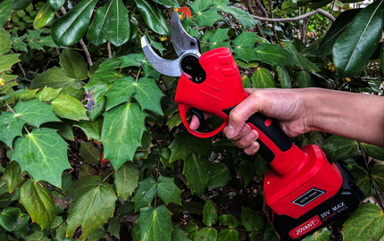 Discover the Perfect Summer-Ready Father's Day Gifts!