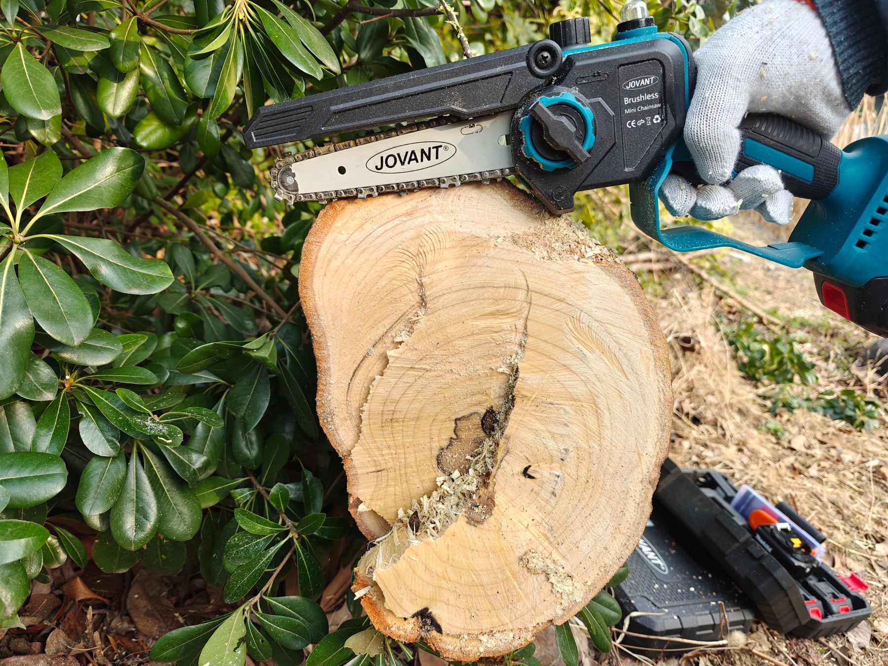 Unlocking the Power of Chainsaws: An Innovative Approach to Efficient Garden Pruning