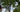 Florida Palm Tree Laws:Why You Need a Pole Saw&Permit to Avoid Fines