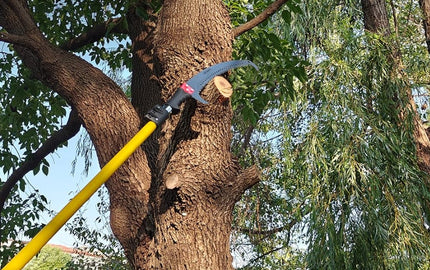 Firebreaks on a Budget: Why Pole Saws Are a Wildfire Financial Lifeline