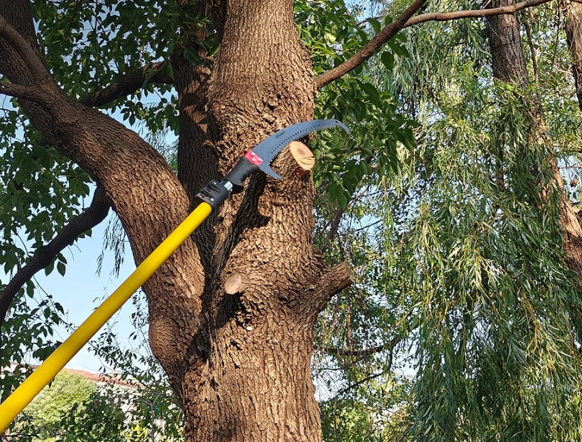 Firebreaks on a Budget: Why Pole Saws Are a Wildfire Financial Lifeline
