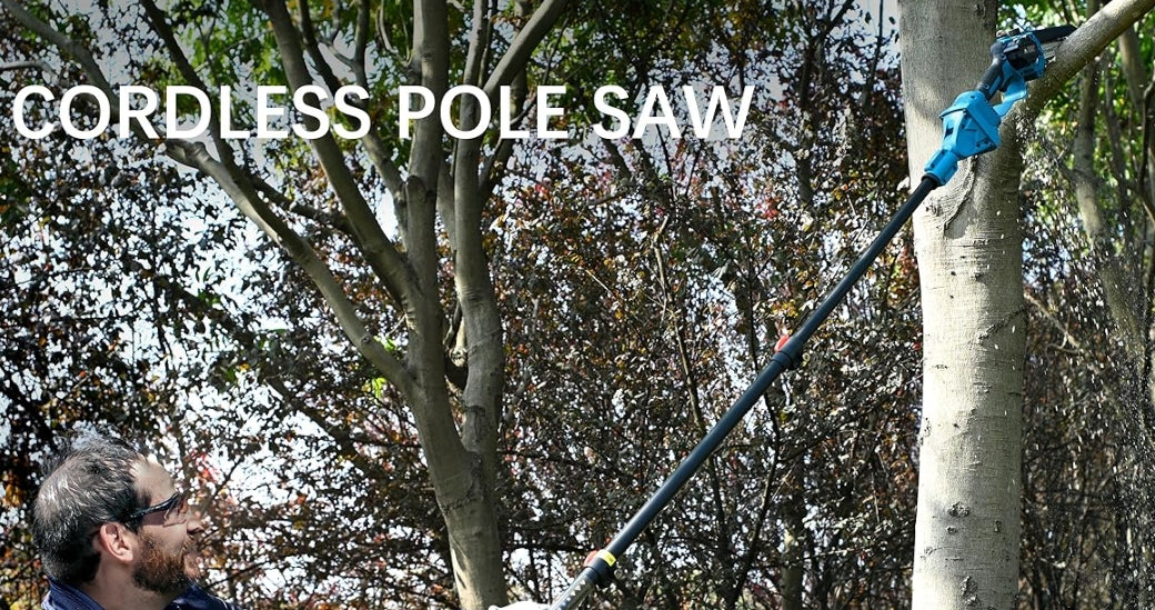 Pole Saw Pruning: Shield Trees from Seasonal Pests