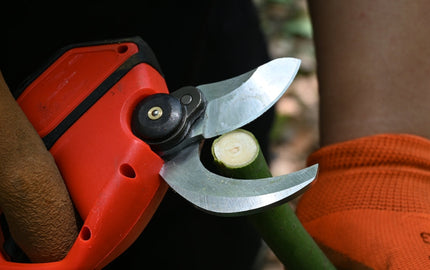 what is the best brand of pruning shears made in USA