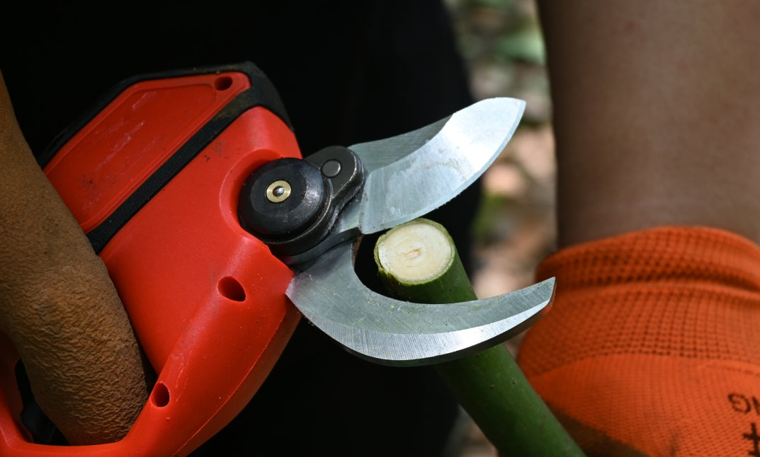 what is the best brand of pruning shears made in USA