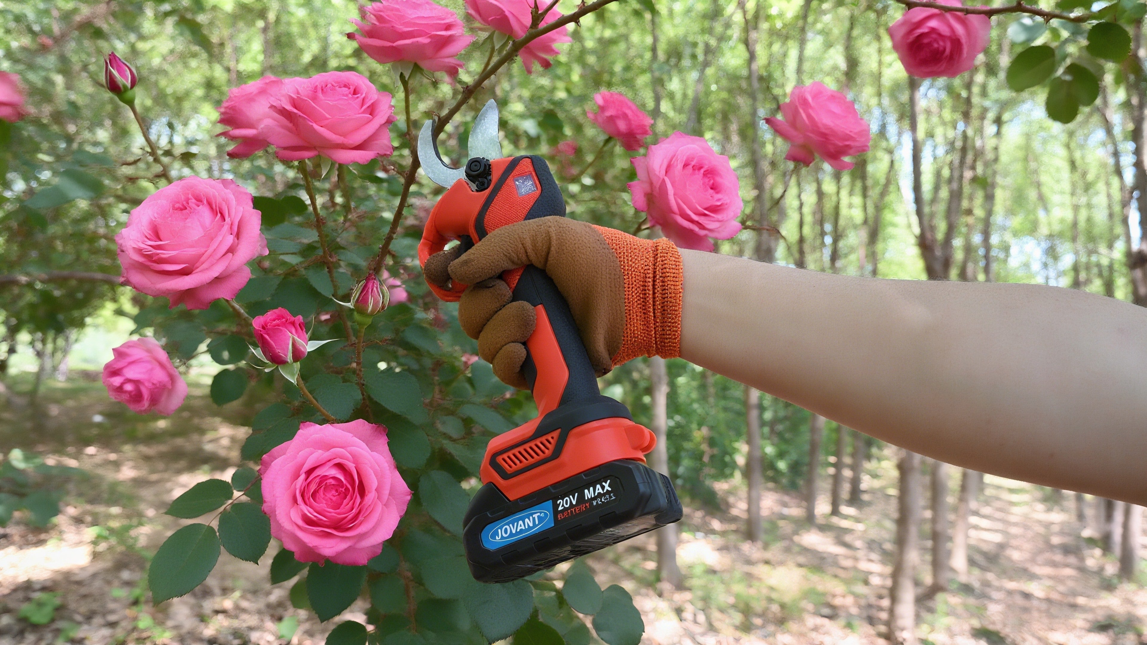 Electric vs Manual Pruners:We Tested Them on Roses&Hydrangeas