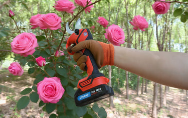 Electric vs Manual Pruners:We Tested Them on Roses&Hydrangeas