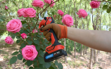 Electric vs Manual Pruners:We Tested Them on Roses&Hydrangeas
