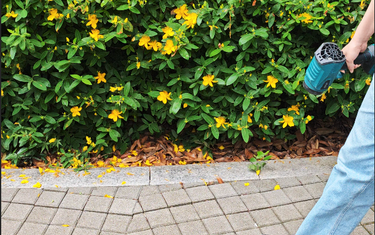Ultra-Lightweight Telescopic Pole Leaf Blower Review: Who Is It Perfect For?
