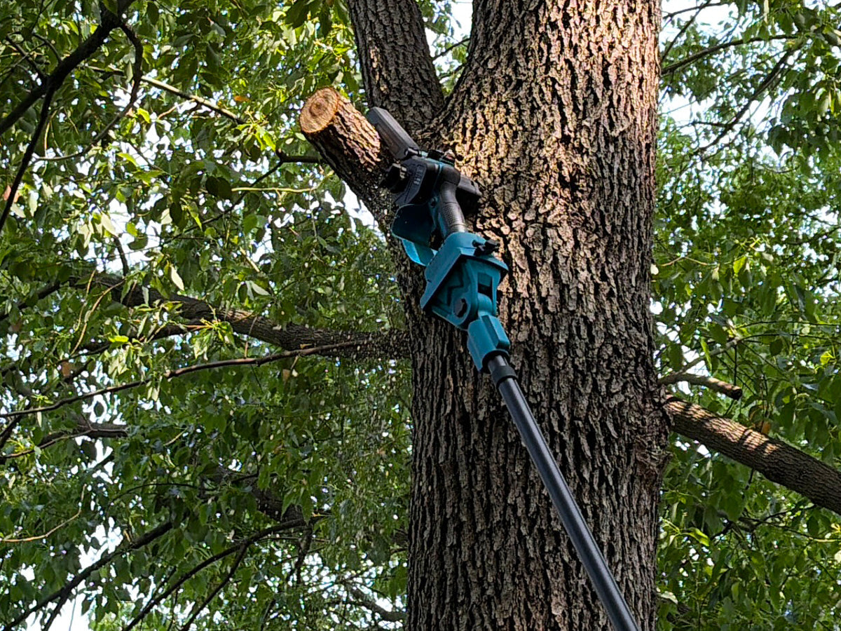 6-Inch Pole Saw Noise and Cutting Performance Test