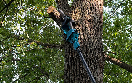 6-Inch Pole Saw Noise and Cutting Performance Test