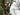 8-inch pole saw for gardening pruning tools