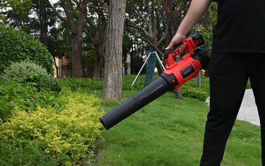 Are leaf blowers bad for the environment?