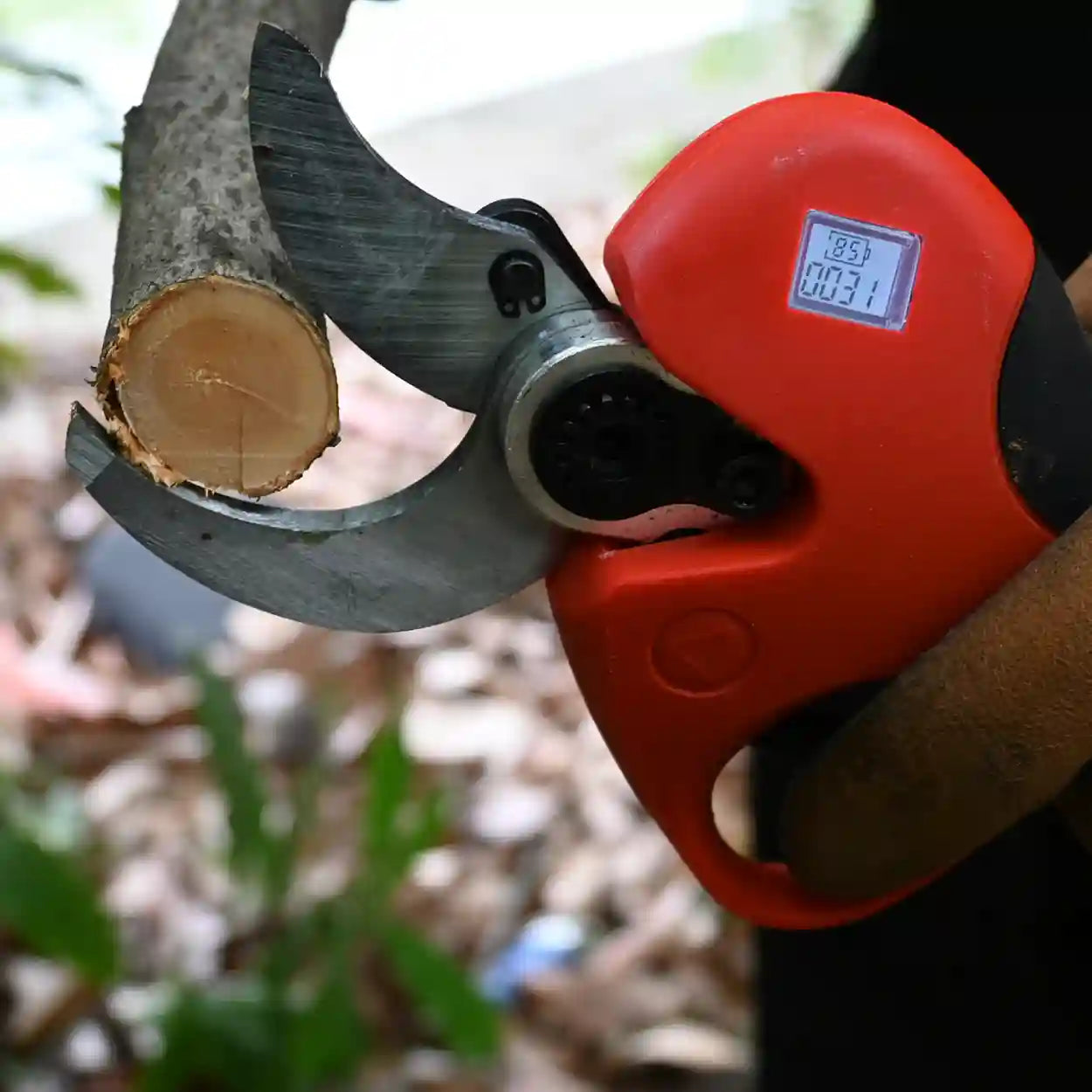 Electric Pruning Shears – Complete Guide for Home Gardeners