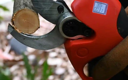Electric Pruning Shears – Complete Guide for Home Gardeners