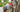 30mm Cordless Telescopic Electric Pruning Shears Cutting Power Test