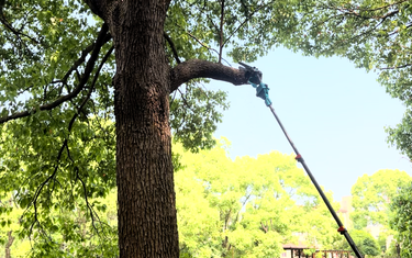 Pro Tips for Using a Cordless Pole Saw: Boost Safety, Efficiency & Service Life