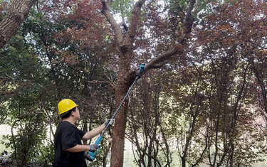 2-in-1 Cordless Pole Saw | 12.6FT Telescopic Tree Trimmer JOVANT