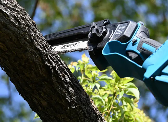 6 Key Specs for Cordless Pole Saw | Avoid Bad Buys