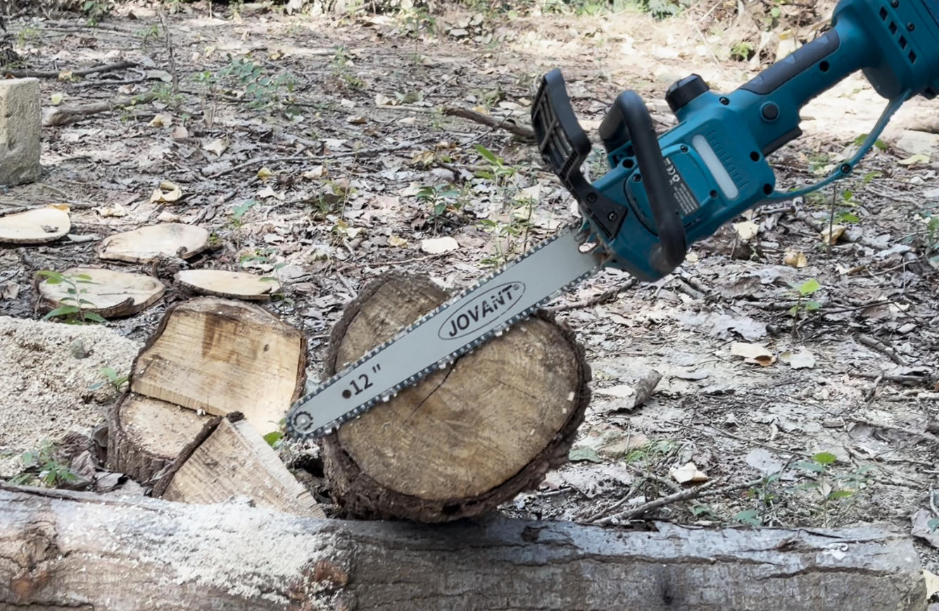 6 Inch vs 12 Inch Pole Saw: Which Is Better for Home Tree Trimming?