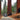 Pole Saw: Safe & Legal Redwood Pruning Guide in California