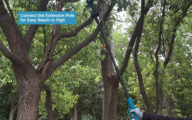JOVANT 6-Inch Cordless Pole Saw Review: The Best Lightweight Garden Tool