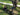 Pole Saw vs. Chainsaw: Which One Should You Choose?